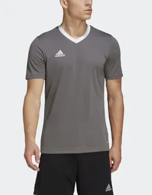 Adidas Camiseta Entrada 22