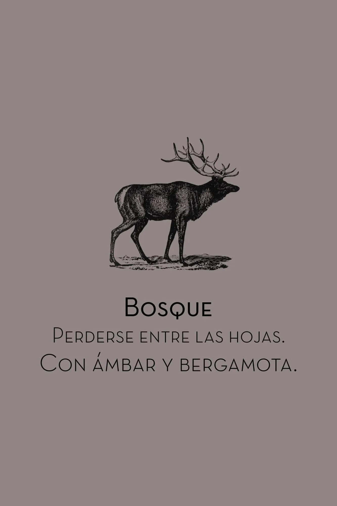 Ambientador mikadon bosque