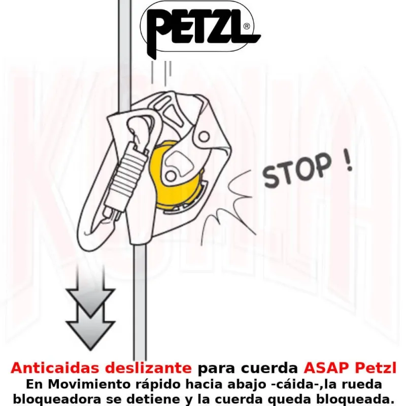 Anticaidas deslizante para cuerda ASAP Petzl