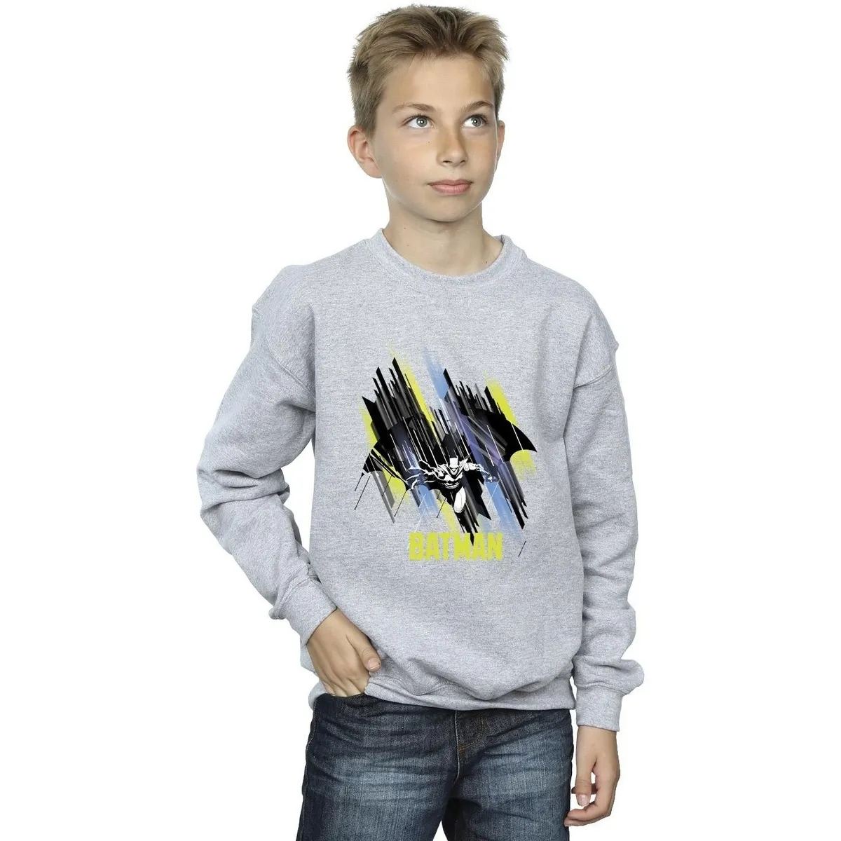 Batman Flying Batman