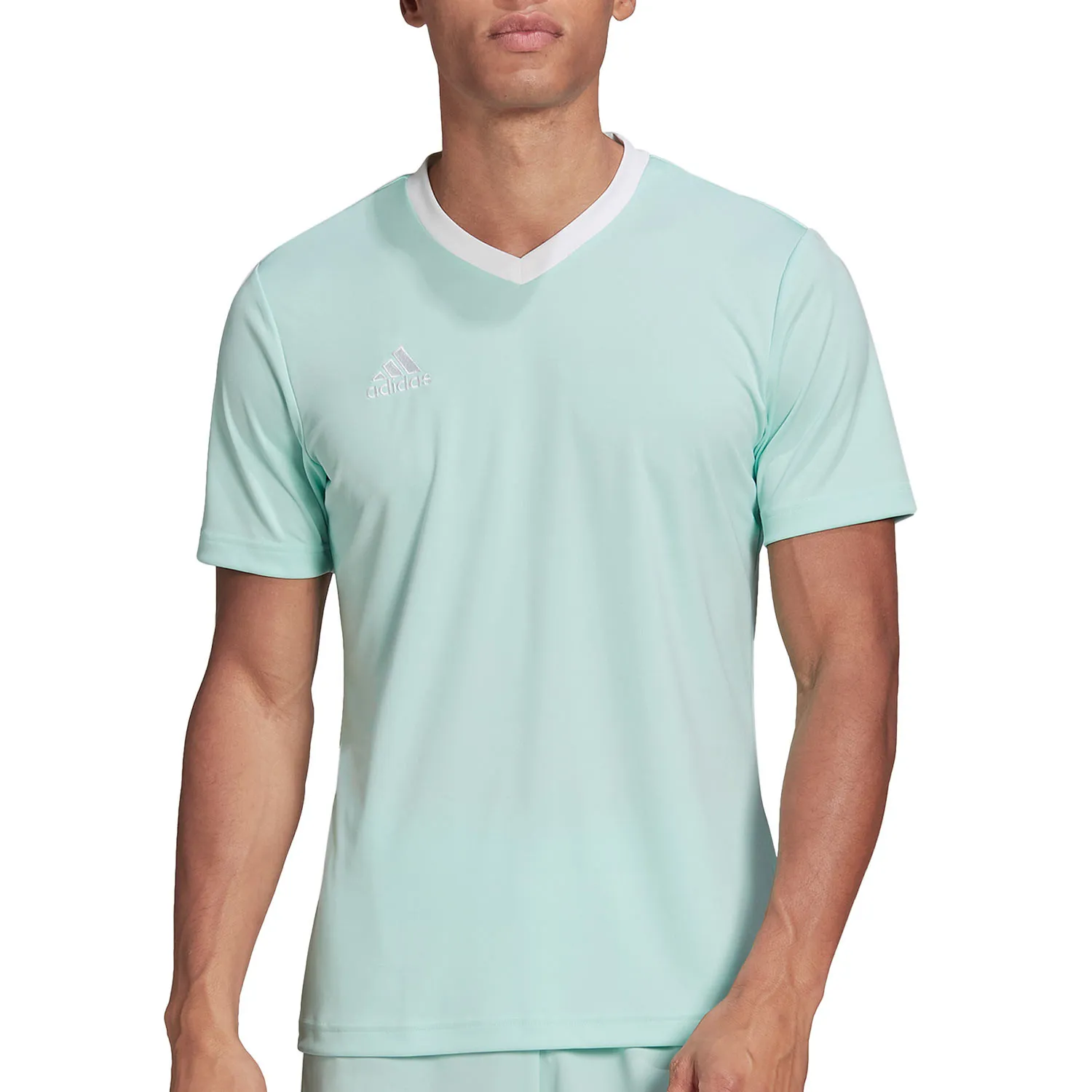 Camiseta adidas Entrada 22