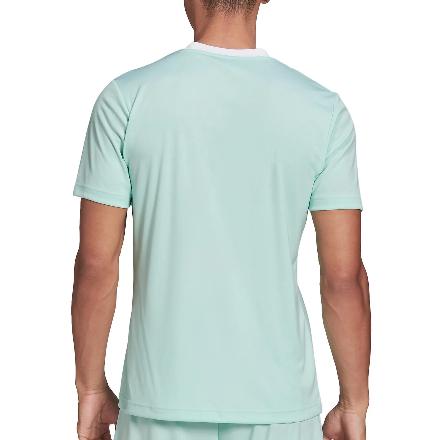 Camiseta adidas Entrada 22