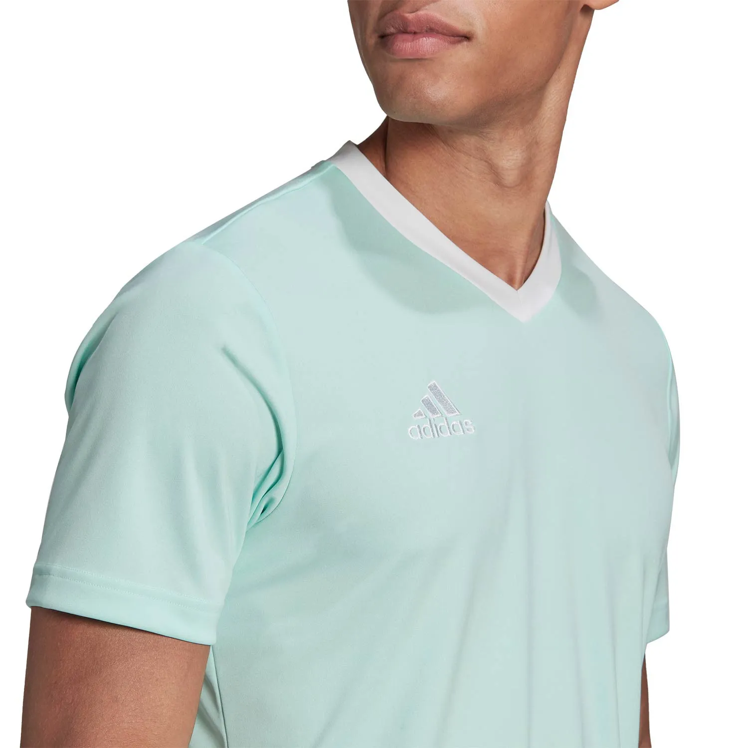 Camiseta adidas Entrada 22