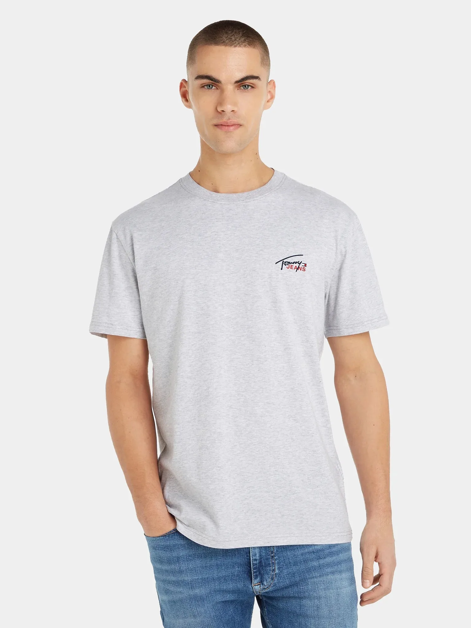 CAMISETA TOMMY  DM0DM17714 PJ4