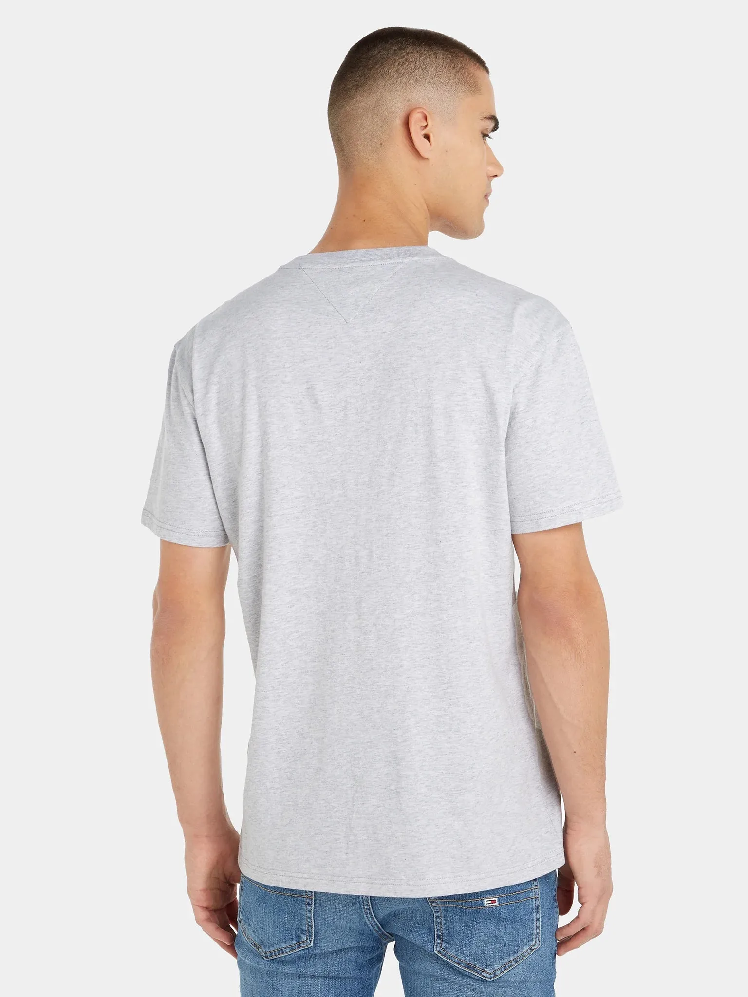 CAMISETA TOMMY  DM0DM17714 PJ4