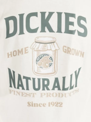 Dickies Elliston Camiseta
