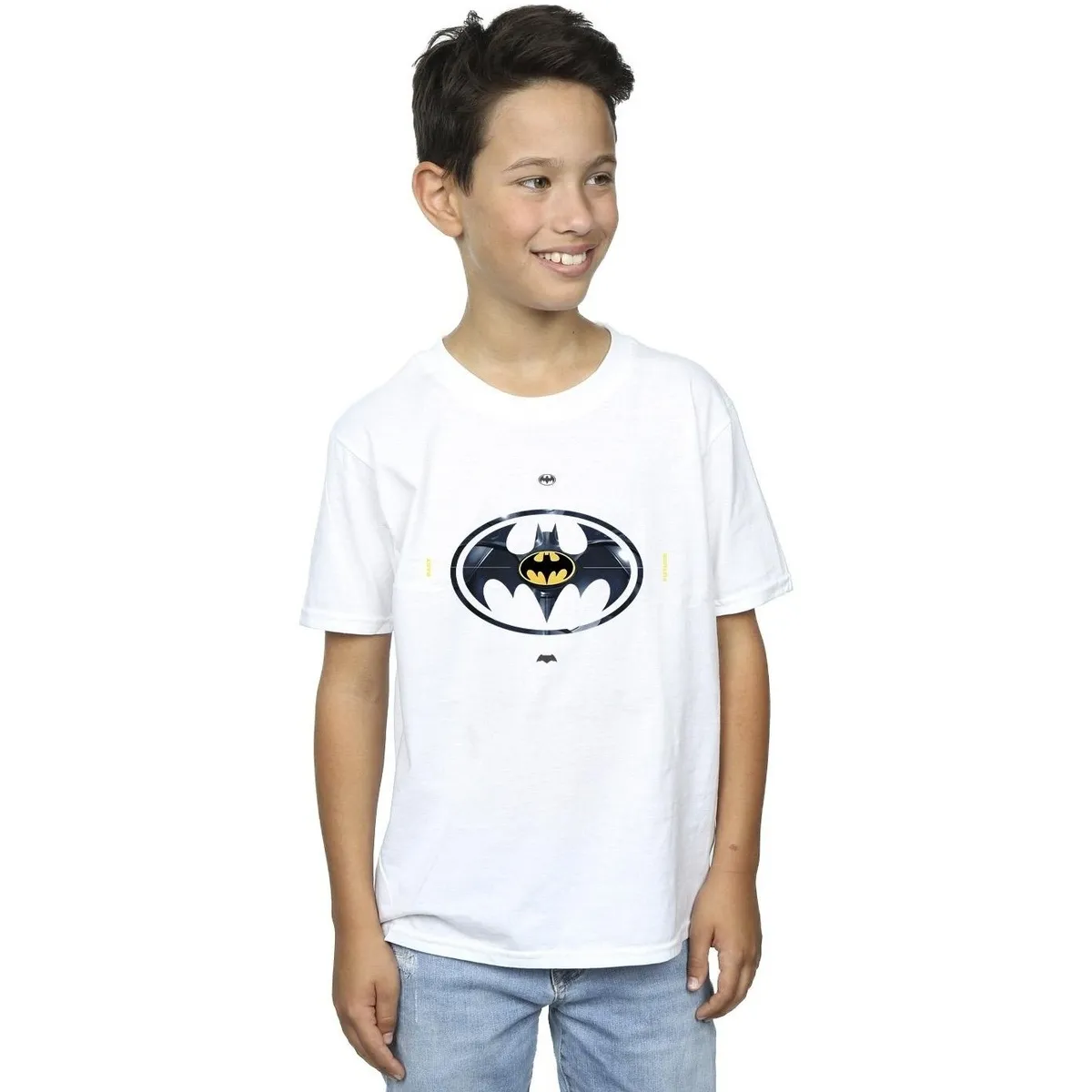 The Flash Batman Metal Logo