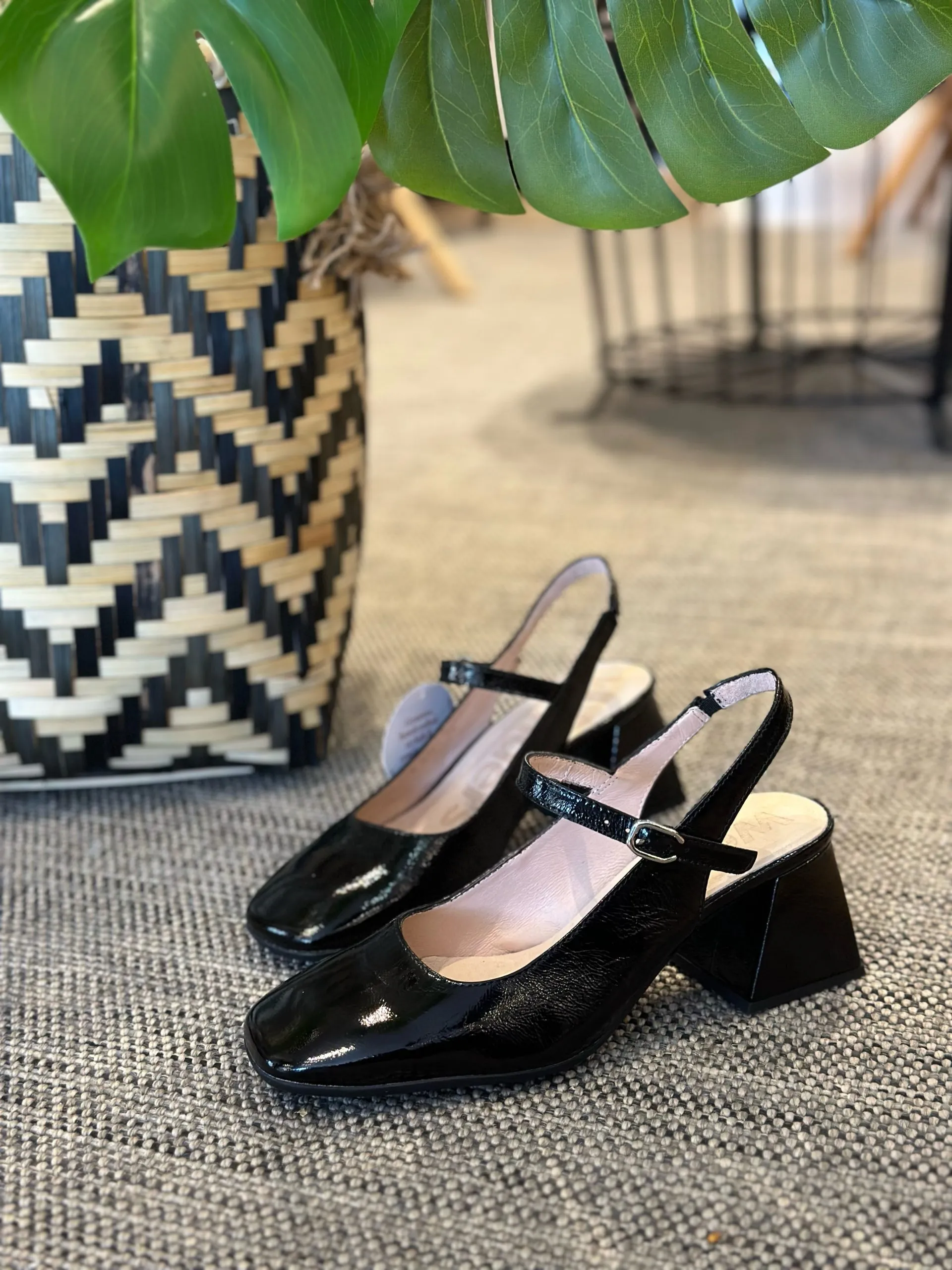 Zapato Jane Wonders Negro