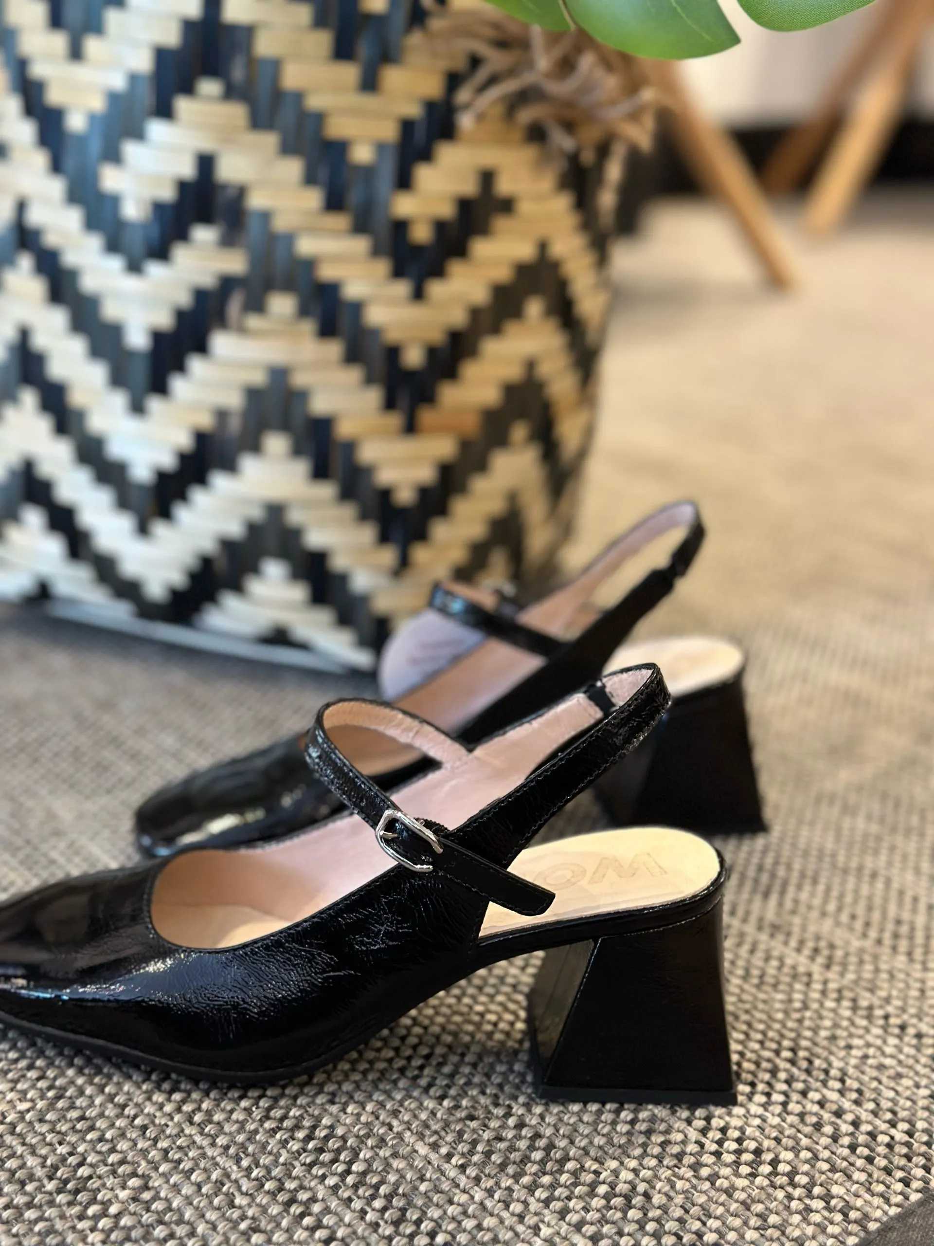 Zapato Jane Wonders Negro