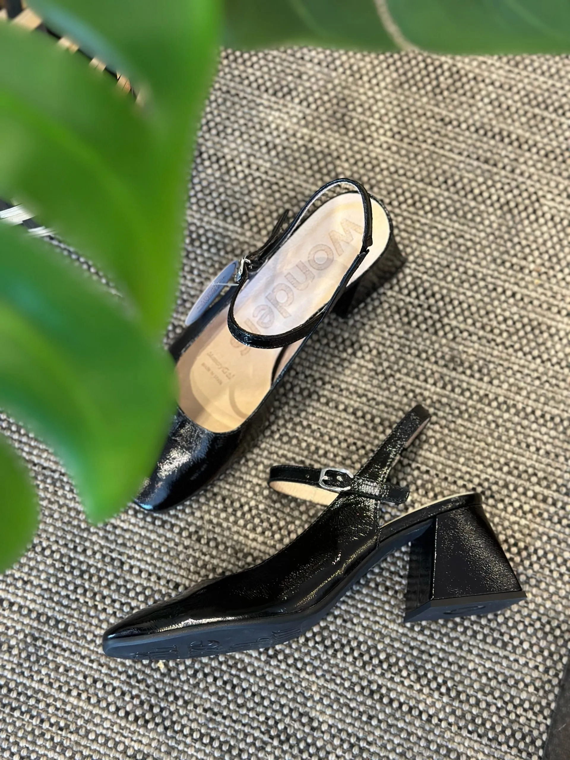 Zapato Jane Wonders Negro